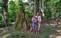 Termite Walk