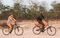 Cycling